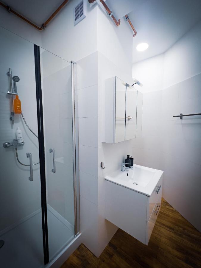 Nalu Black&White Apartment No 8 Katowice Eksteriør billede